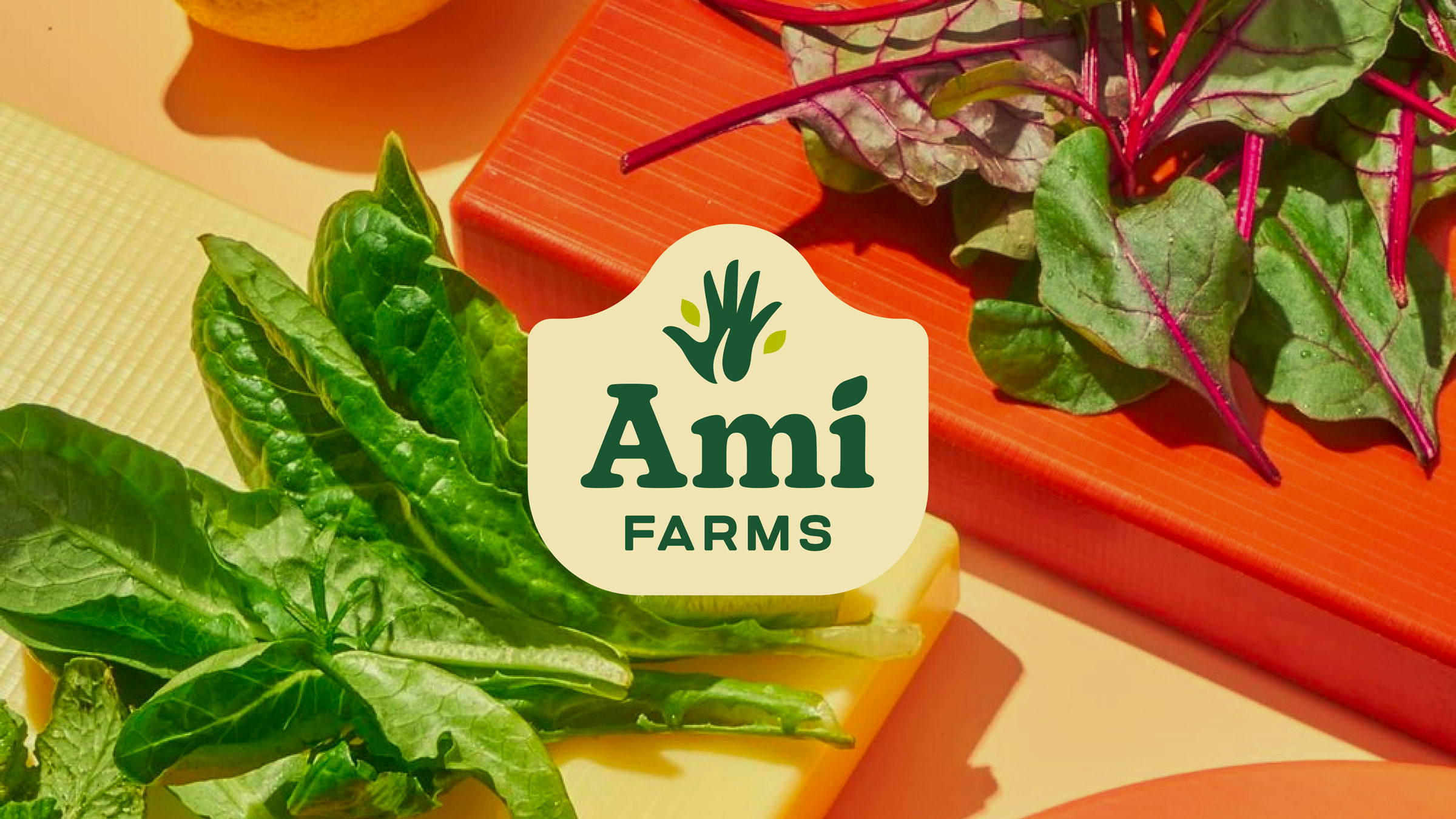 Ami-Farms-Branding-01