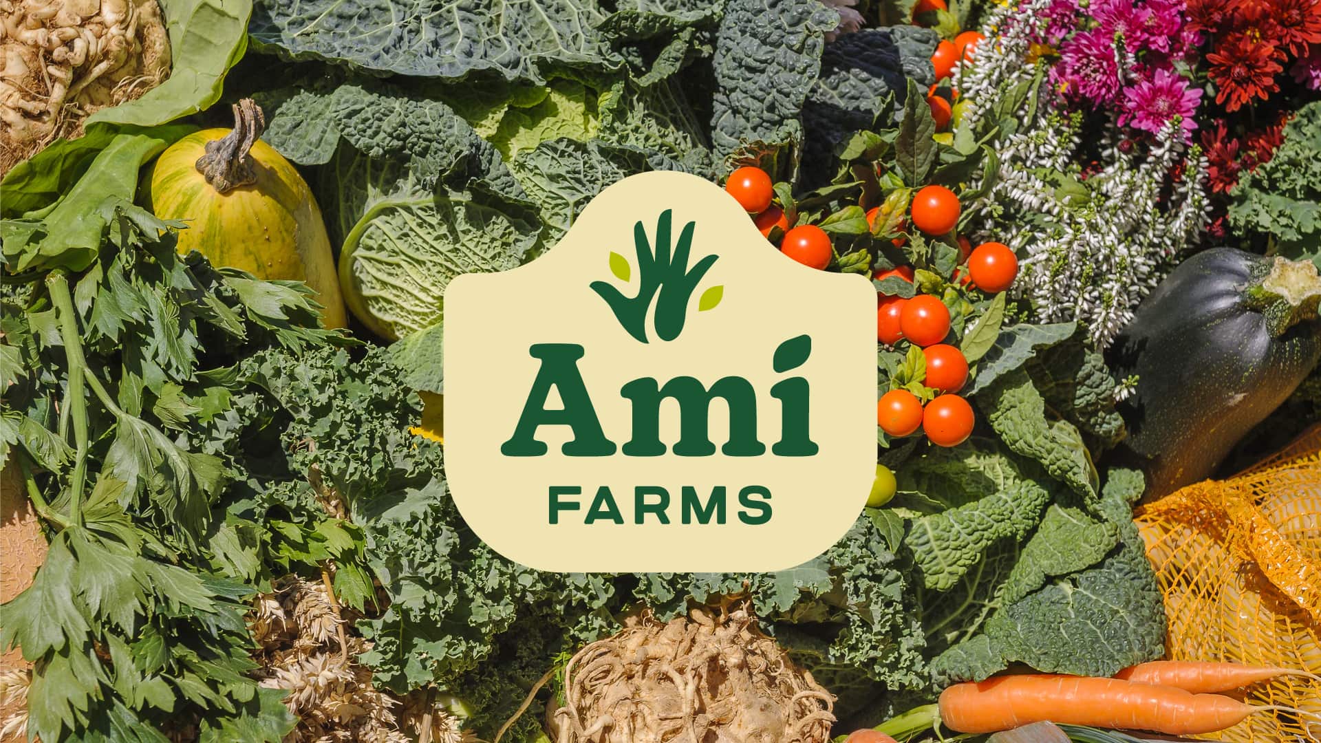 Food photography and friendly serif logo type and icon for bidynamic farm and brand Ami Farms 