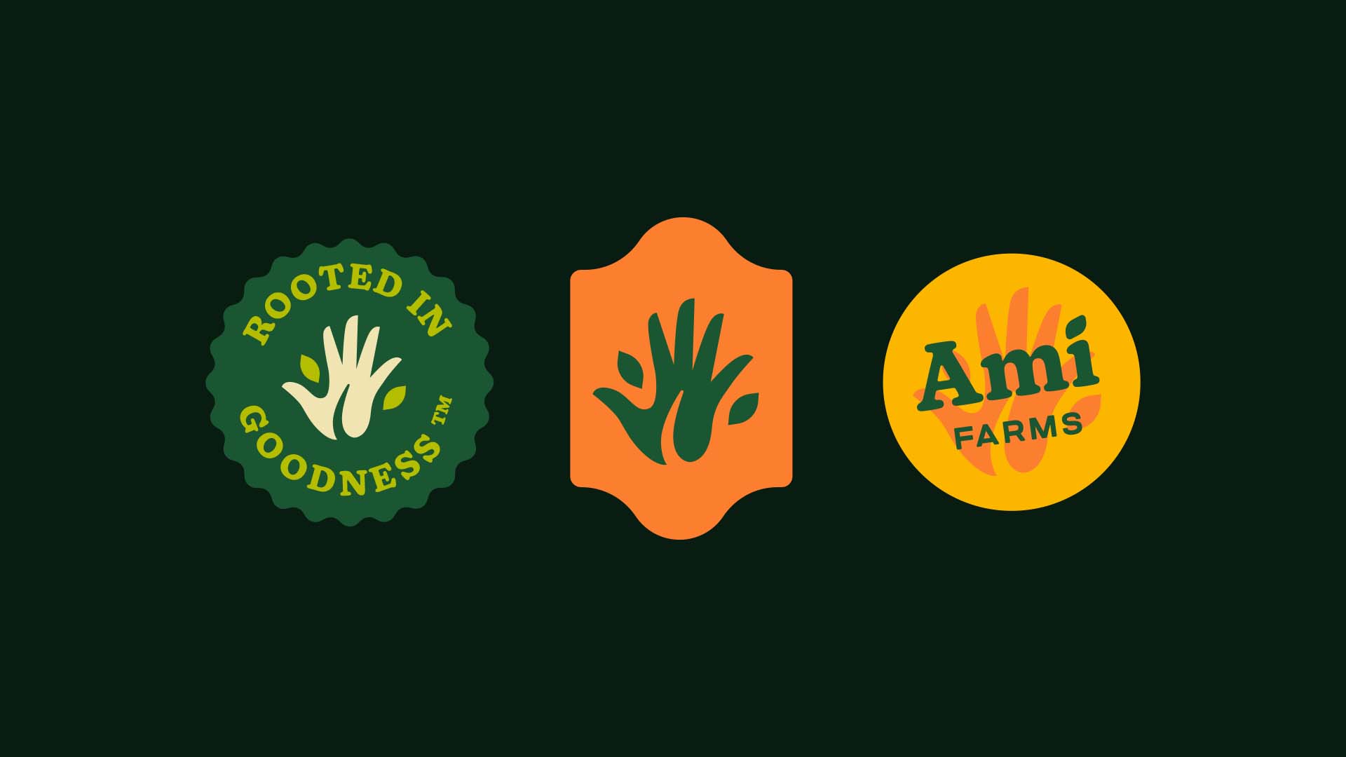 Logo, seal, sticker variations and lockups design for bidynamic farm and brand Ami Farms
