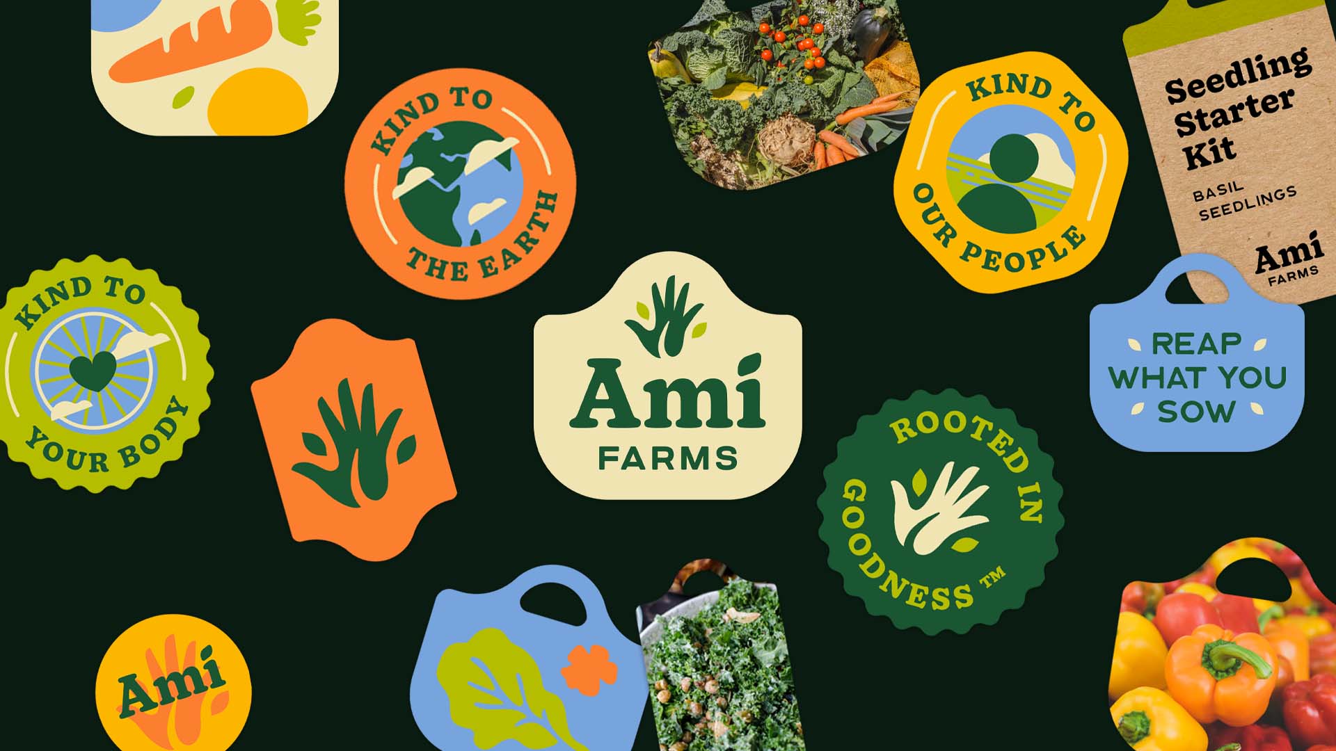 Colorful fruit stickers and badge designs for bidynamic farm and brand Ami Farms 