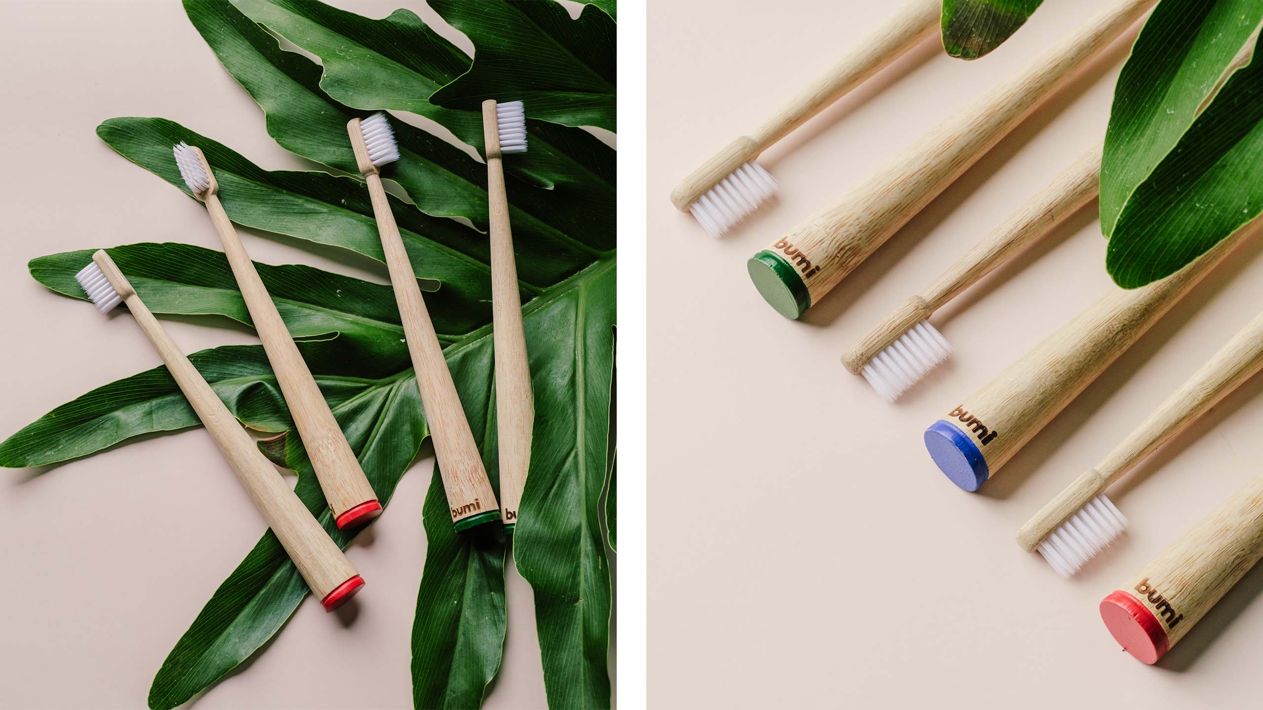 Product photos for sustainable bamboo toothbrush brand Bumi