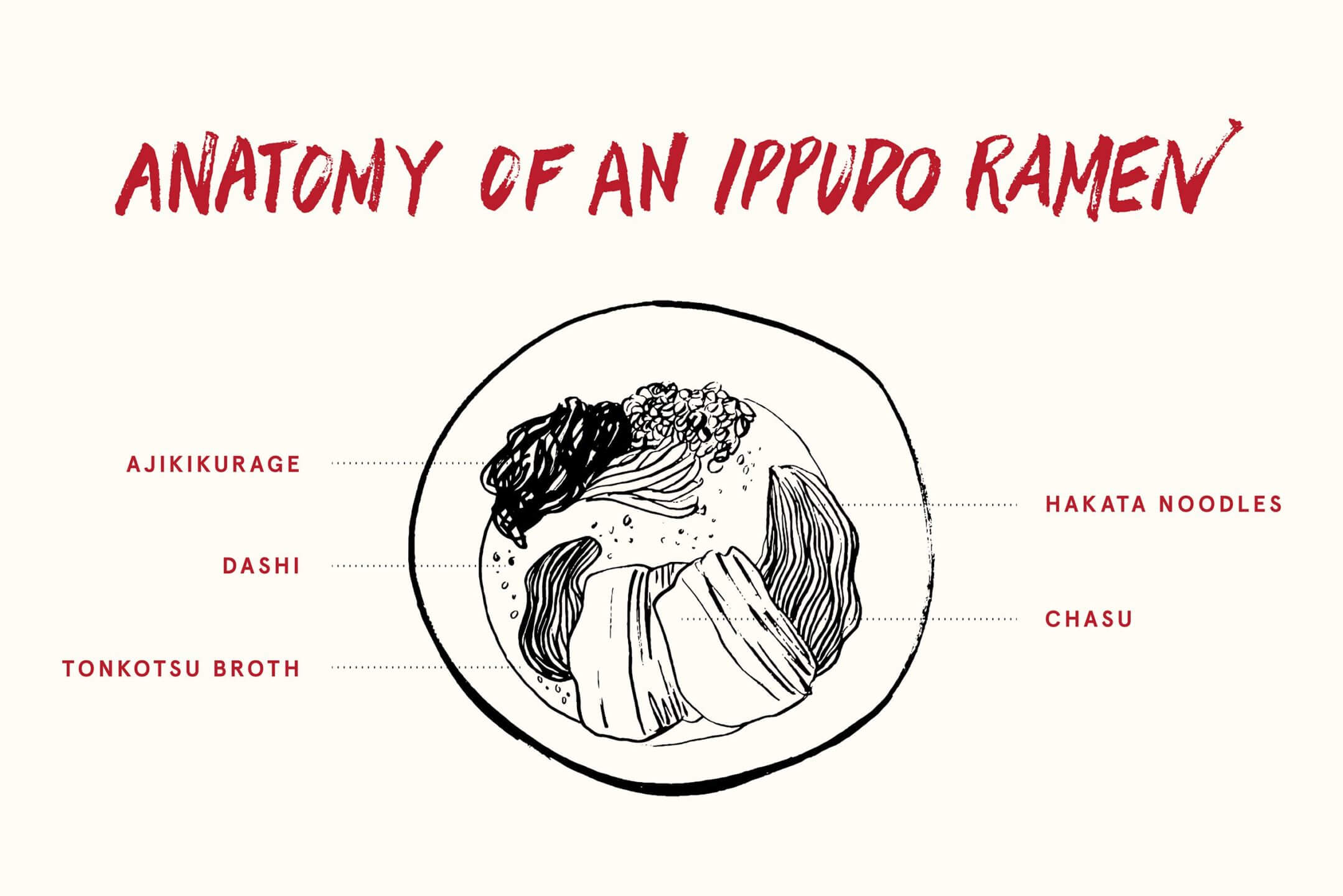 An illustration of the anatomy of ramen designed for Ippudo