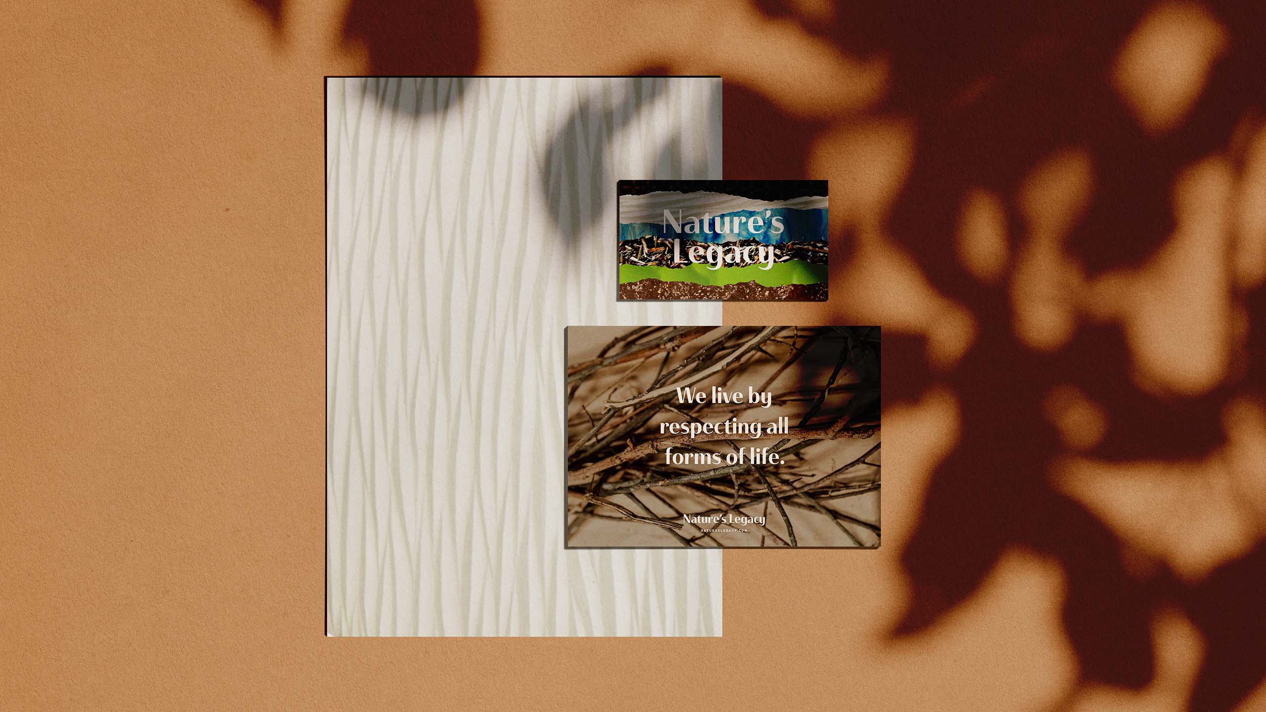 Business card and postcard design for home and furniture brand Nature's Legacy