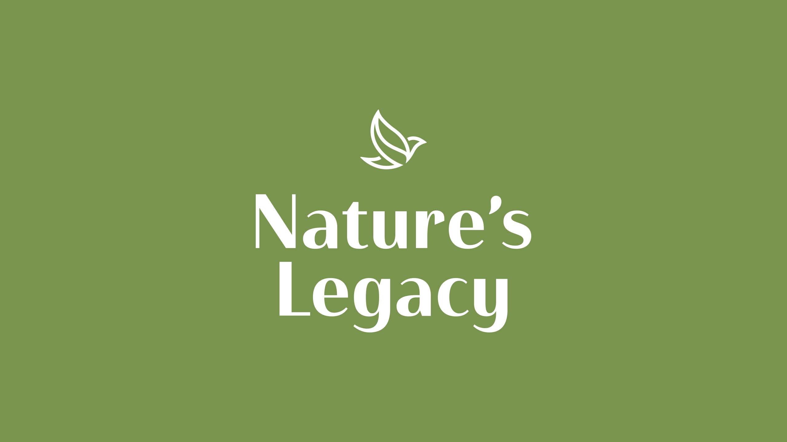 Green and white logo and icon design for home and furniture brand Nature's Legacy