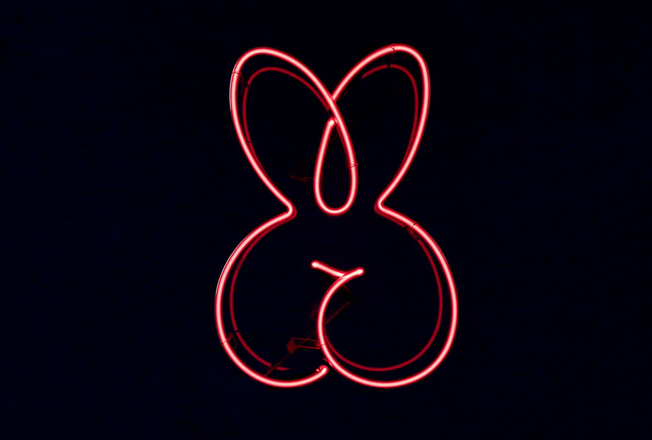 Ilya Neon Sign